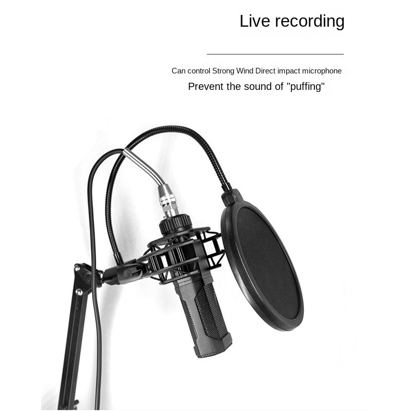 Pro Studio Microphone Windscreen Filter